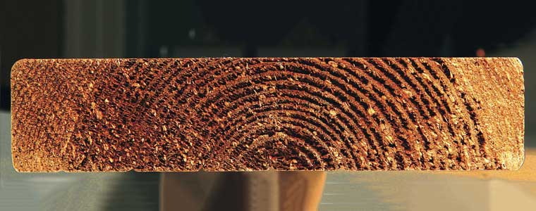 مراحل فرآوری چوب ترمووود