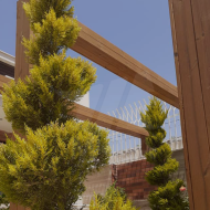 پروژه نما ترمو